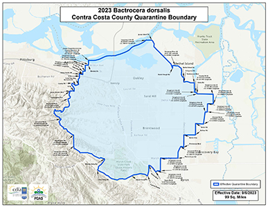 Contra Costa County, Brentwood Area