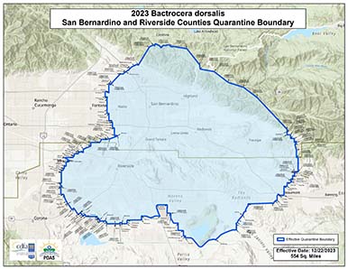 San Bernadino and Riverside Counties, Redlands and Yucaipa Areas