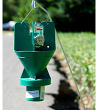 Japanese Beetle Trap (image by Randall Gee Photography)