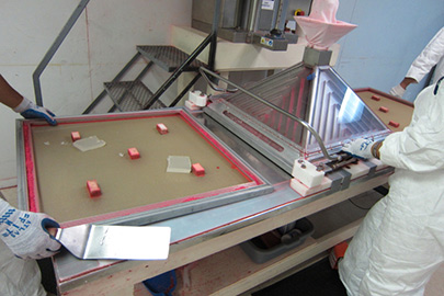 Photo showing tray passing through pyramid and tray with agar