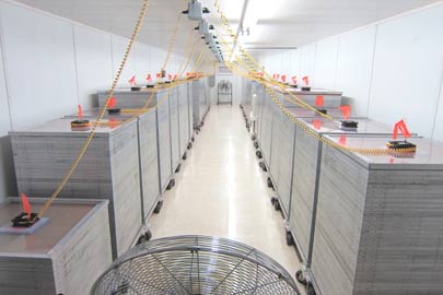 Photo showing towers in incubation room