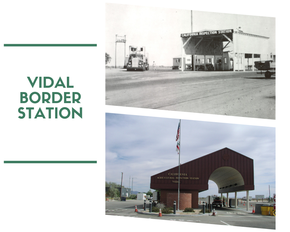 Vidal Border Station