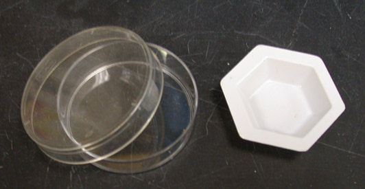 Petri dish and weighing boat
