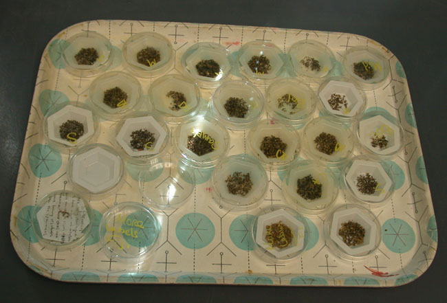 Tray with samples