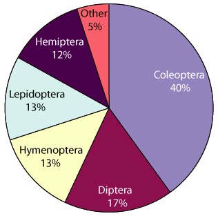 CSCA taxonomic scope