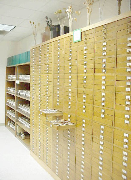 Seed Herbarium