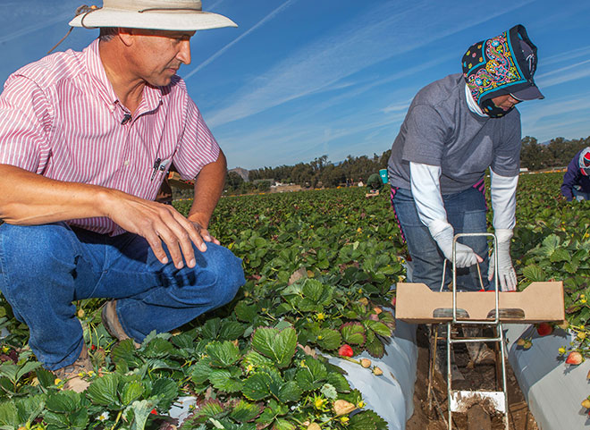 Farmers