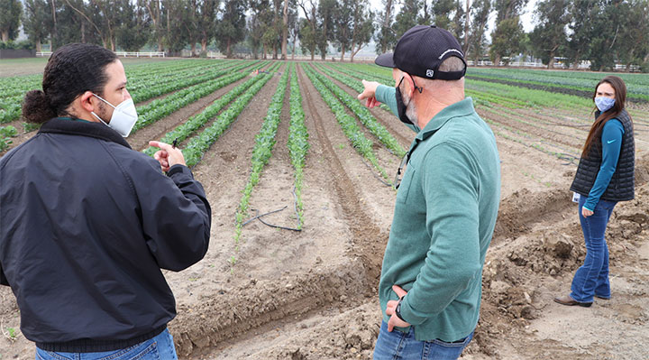 Inspectors in a field, pointing