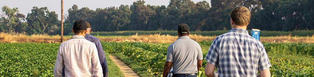 Inspectors in a field