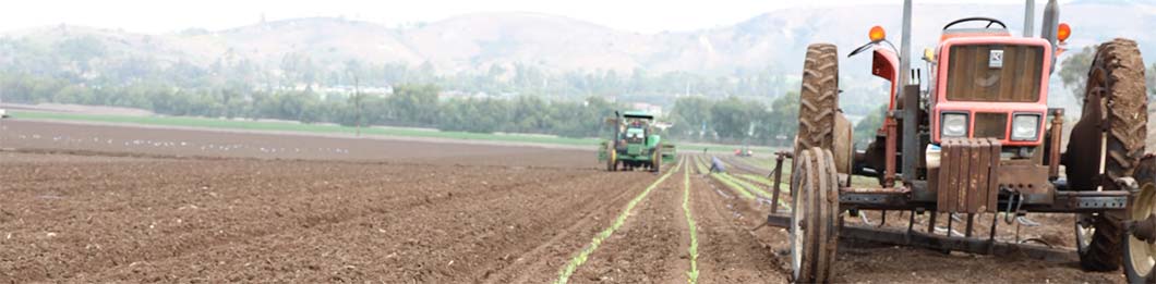 Tractors in a dusty field