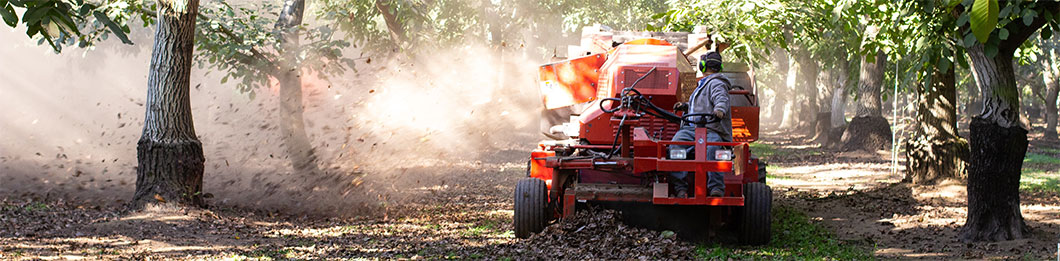 Walnut harvesting machine