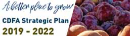 Strategic Plan for CDFA: 2019-2022