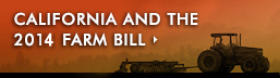 California & 2014 Farm Bill