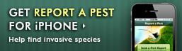 Report a Pest App