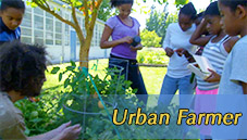 Urban Farmer