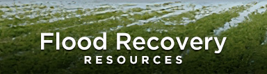 Flood Recovery Resources